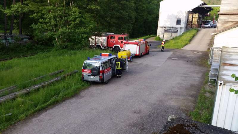 Übung im Sägewerk (Foto: Presseteam der Feuerwehr VG Lambrecht)
