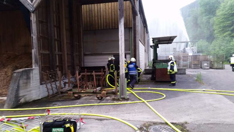 Übung im Sägewerk (Foto: Presseteam der Feuerwehr VG Lambrecht)