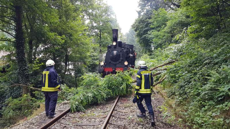 Ein Baum fiel auf die Bahnlinie (Foto: Feuerwehr Presseteam der VG Lambrecht)