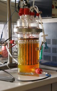 Forscherin der TU stellt Kraftstoff mit neuem bioelektrochemischen Verfahren her