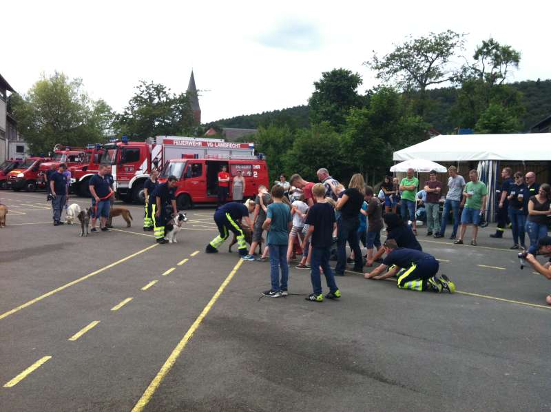 Die Rettungshundestaffel Weidenthal bei Übungen (Foto: Feuerwehr Presseteam der VG Lambrecht)