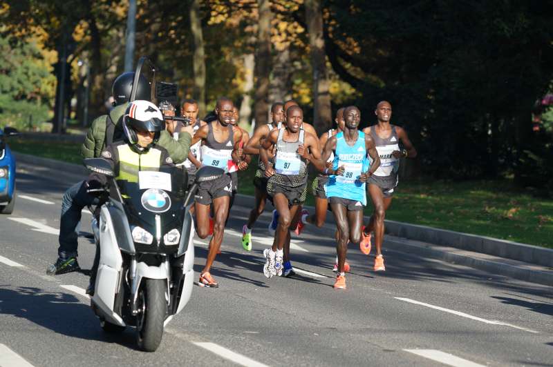 Afrikanische Läufer (Foto: Holger Knecht)