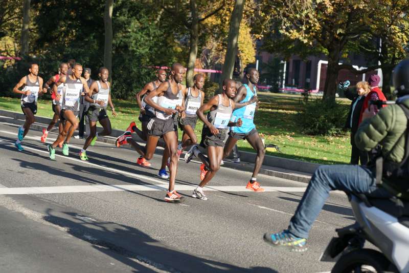 Afrikanische Läufer (Foto: Holger Knecht)