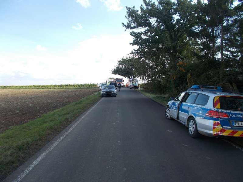 Die Unfallstelle (Foto: Polizei)