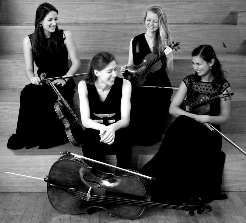 Das Tenero Quartett (Foto: Björn Hadem/HfMDK)