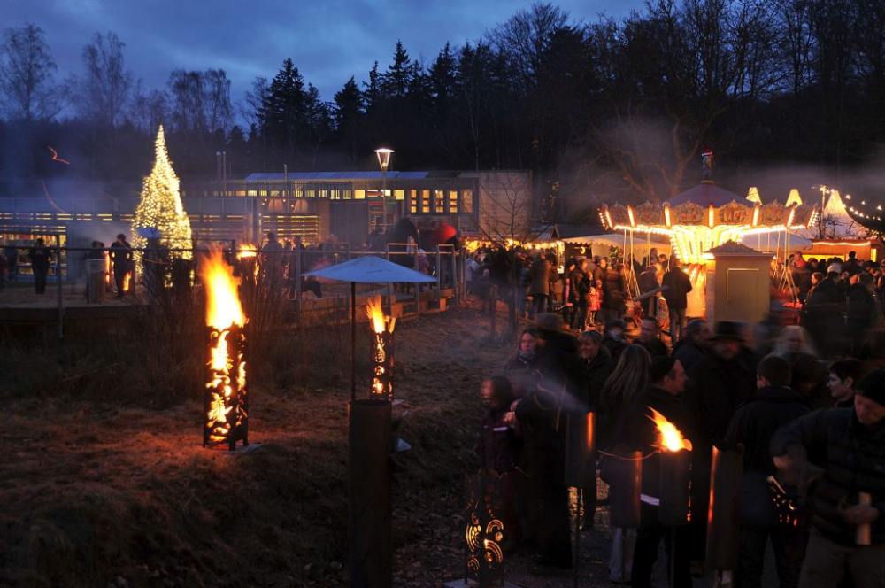 Vorweihnachtliche Stimmung im Johanniskreuzer Wald (Foto: Landesforsten RLP)
