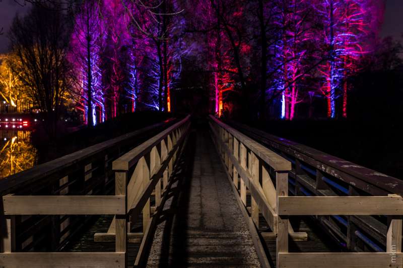 Winterlichter (Foto: Stadtpark Mannheim)