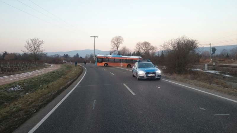 Die Landstraße wurde durch die Polizei abgesichert (Foto: Polizei RLP)