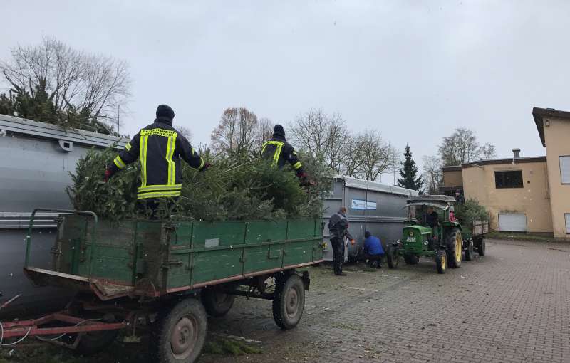 Die Jugendfeuerwehr Lützelsachsen-Hohensachsen, die die Bäume in bereitgestellten Containern der AVR entsorgt. (Foto: Ralf Mittelbach)