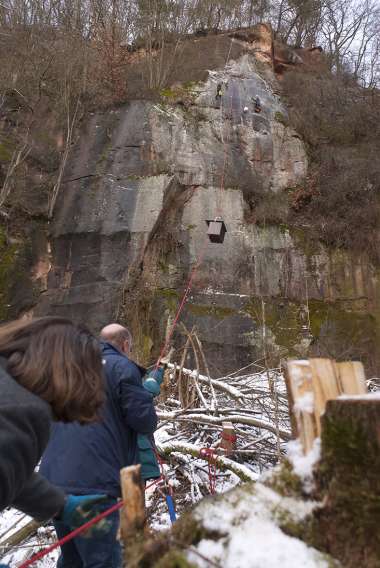 Wanderfalkenkasten (Foto: Stadtverwaltung)