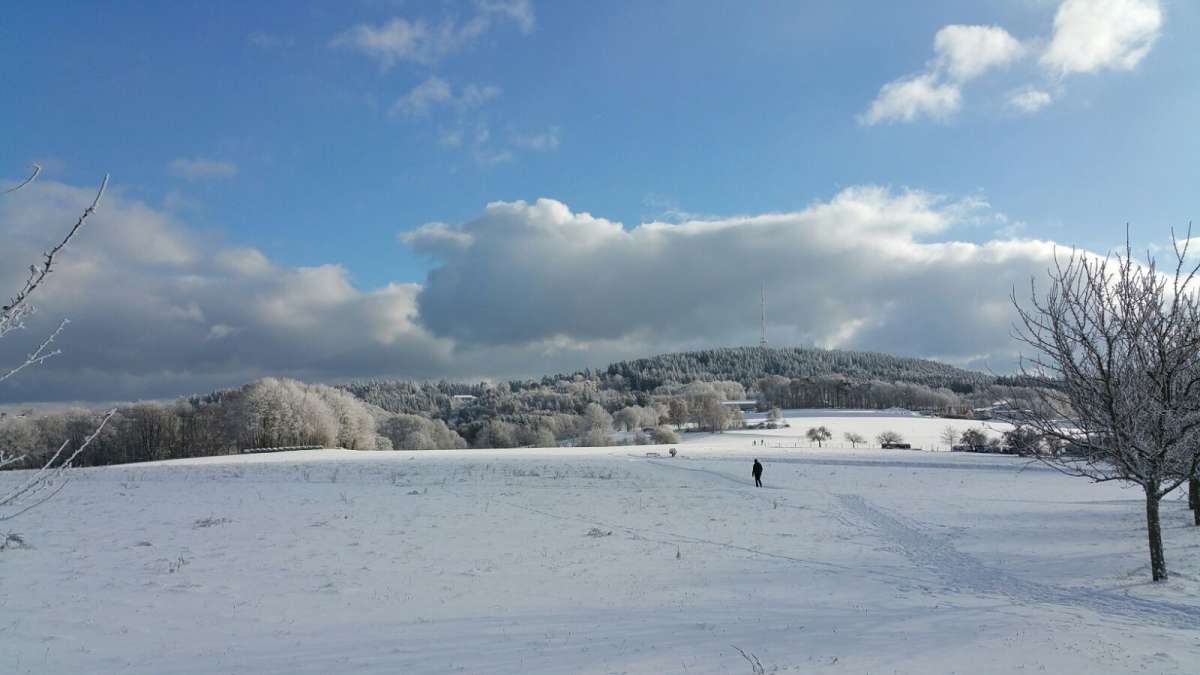 Winter am Hardberg (Foto: ZKÜ)