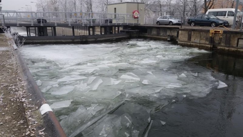 Eisschollen vor den Schleusentoren in Feudenheim (Foto: WSV)