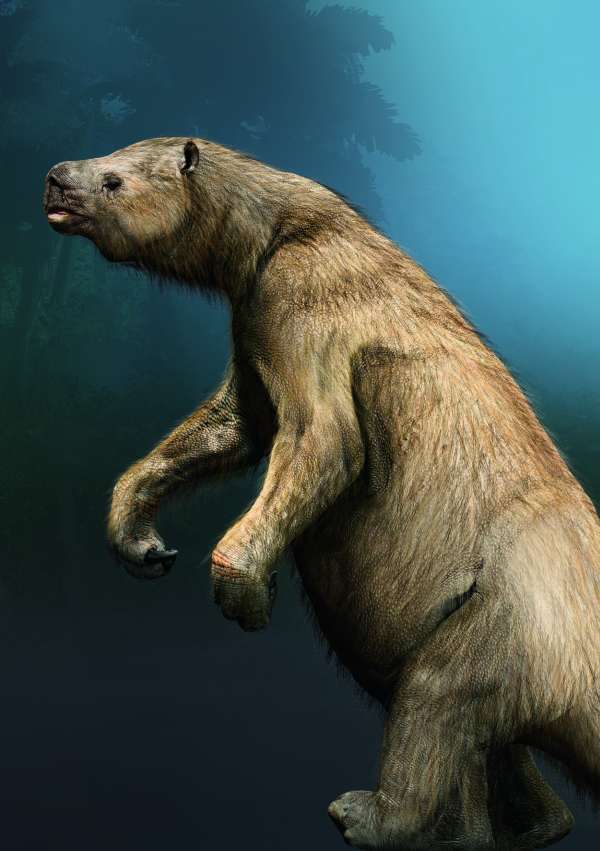 Megatherium (Foto: Illustration Sergio de la Rosa)