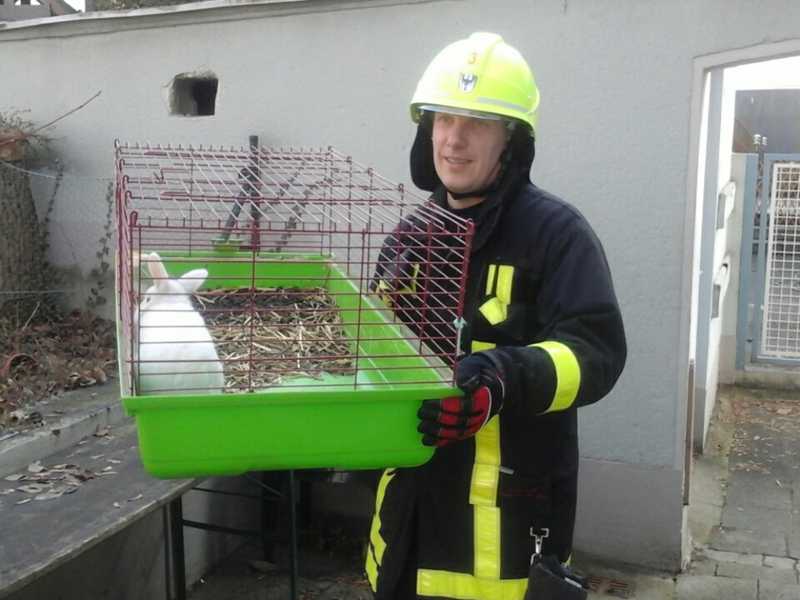 Ein Feuerwehrmann bringt das Kaninchen ins rettende Freie