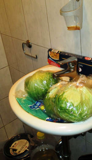 Lebensmittel dürfen im Kühlschrank nicht offen aufbewahrt werden und auch die Toilette ist natürlich nicht der richtige Lagerplatz für Salatköpfe. (Foto: Landratsamt Rhein-Neckar-Kreis)