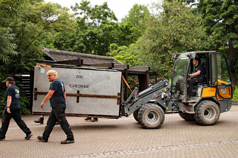 In einer großen Transportkiste tritt Karl Wilhelm seine Reise an (Foto: Zoo Karlsruhe)