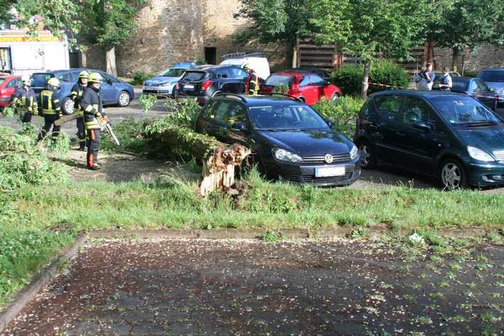 Der Baumstamm fiel glücklicherweise neben den Wagen