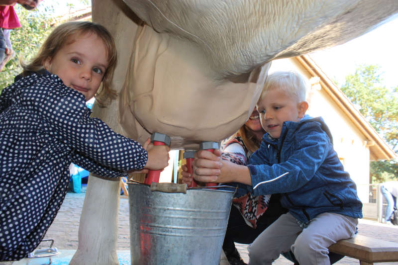 Am Tiergarten-Bauernhof ist Teamarbeit gefragt: Klara und Justus versuchen ihr Glück bei Melkkuh „Gretel“. (Foto: Freizeitbetriebe Worms GmbH)