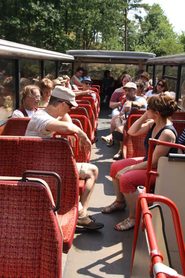 Fahrt im Cabriobus (Foto: Pia Neumann)