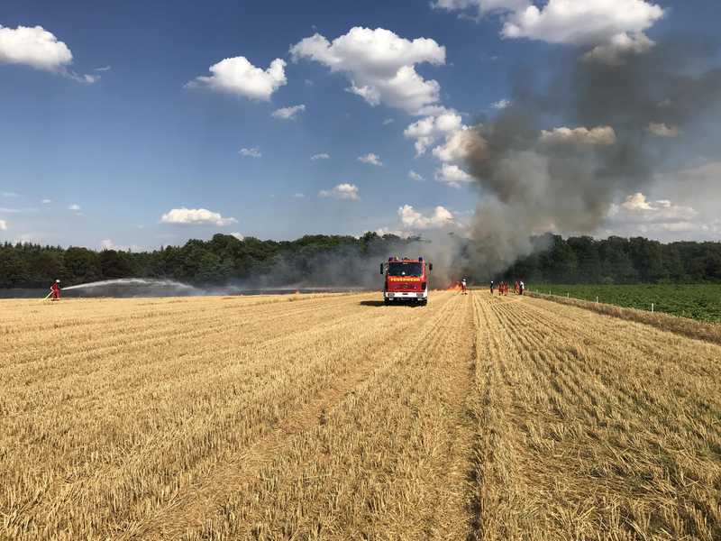 Feuerwehr Bruchsal beim Flächenbrand