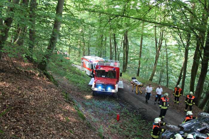 Die Unfallstelle im Wald