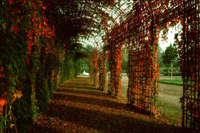 Schlossgarten Schwetzingen im Herbst (Foto: Jessen Oestergaard Photographie / SSG-Pressebild)