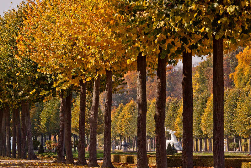 Schlossgarten Schwetzingen im Herbst (Foto: Ursula Wetzel / SSG-Pressebild)