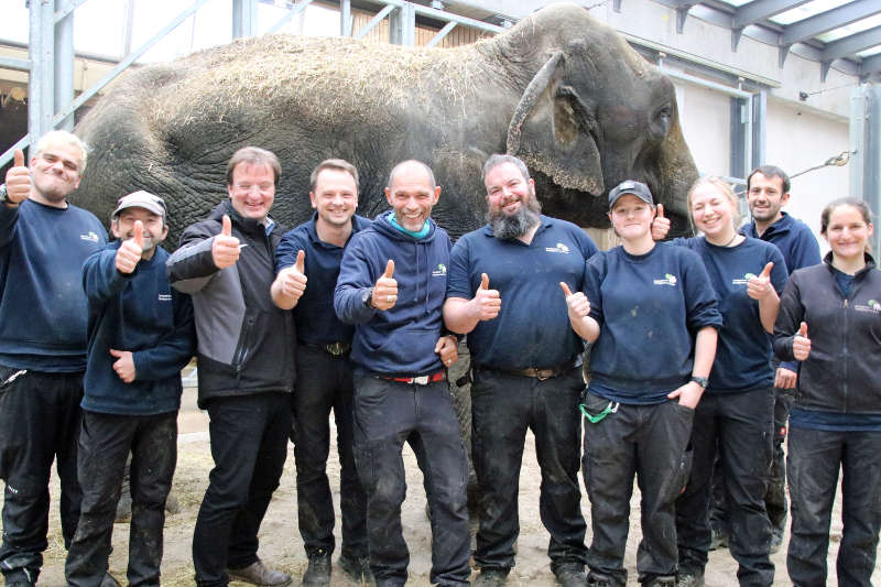 Zoodirektor Dr. Matthias Reinschmidt und das Team aus dem Dickhäuterhaus freut sich über die erfolgreiche Rettungsaktion (Foto: Zoo Frankfurt)