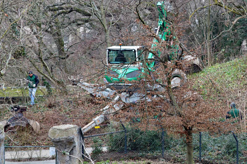 Am Fuße des Lauterbergs beginnt die neue Luchsanlage. Die Baustelle ist bereits eingerichtet. (Foto: Zoo Karlsruhe)