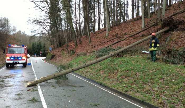 Ein umgestürzter Baum blockiert die Fahrbahn