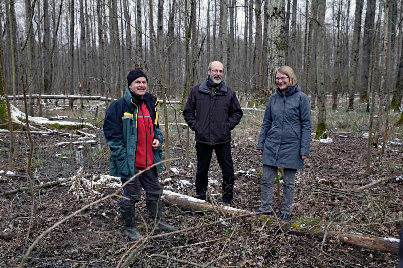 Forstamtsleiter Ulrich Kienzler, Bürgermeister und Forstdezernent Klaus Stapf, Ortsvorsteherin Grötzingen Karen Eßrich stellen den Baum vor (Foto: Klaus Eppele)