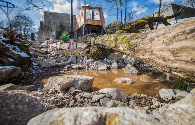 Innenansicht der neuen Schneeleoparden-Anlage der Wilhelma, die am 26. März 2018 offiziell eröffnet wird. (Quelle: Wilhelma Stuttgart / Schmidt)