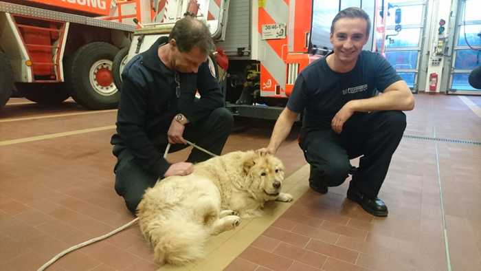 Die befreite Hündin - Feuerwehr Frankfurt am Main