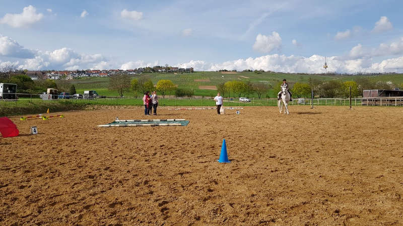 Working Equitation Prüfung (Foto: Reit- und Fahrverein Essenheim)