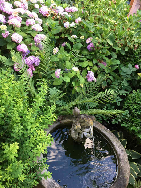 Blumen am Brunnen (Foto: Stadt Lorsch)