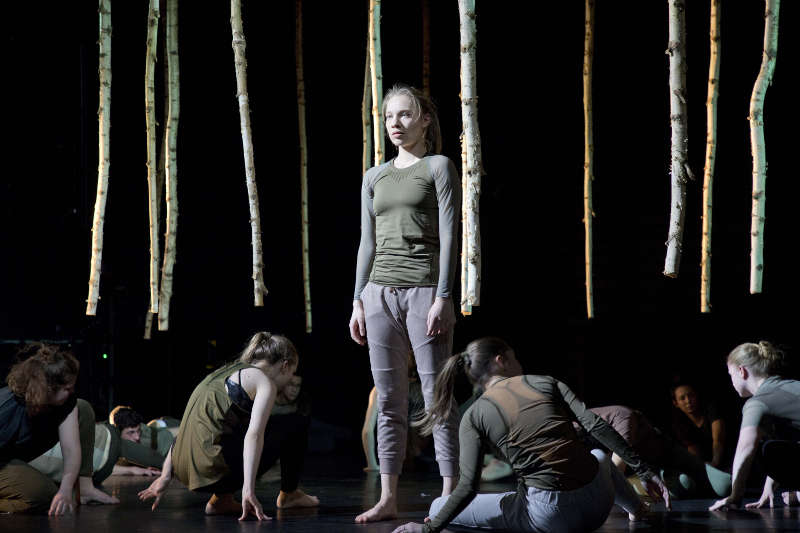 Marlene Klodwig, Lukas Kirsch, Diana Ionescu, Max Suhr, Stella Macha, Hannah Van Santfliet, Daniela Schendel, Michelle Friedrich (Foto: Sebastian Bühler)