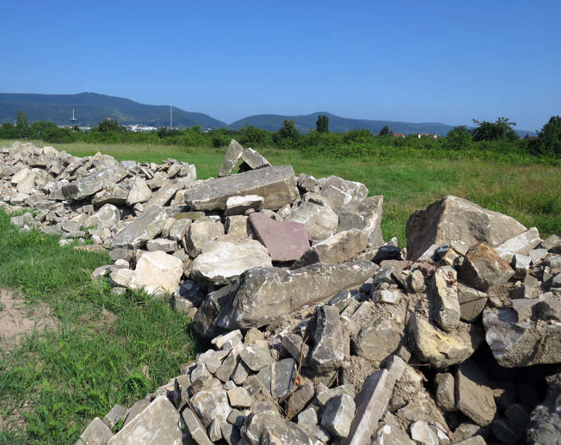 Die Steine vom Mußbacher Kreisel sollen Eidechsen und anderen Tieren eine neue Heimat bieten. (Foto: Stadtverwaltung Neustadt)