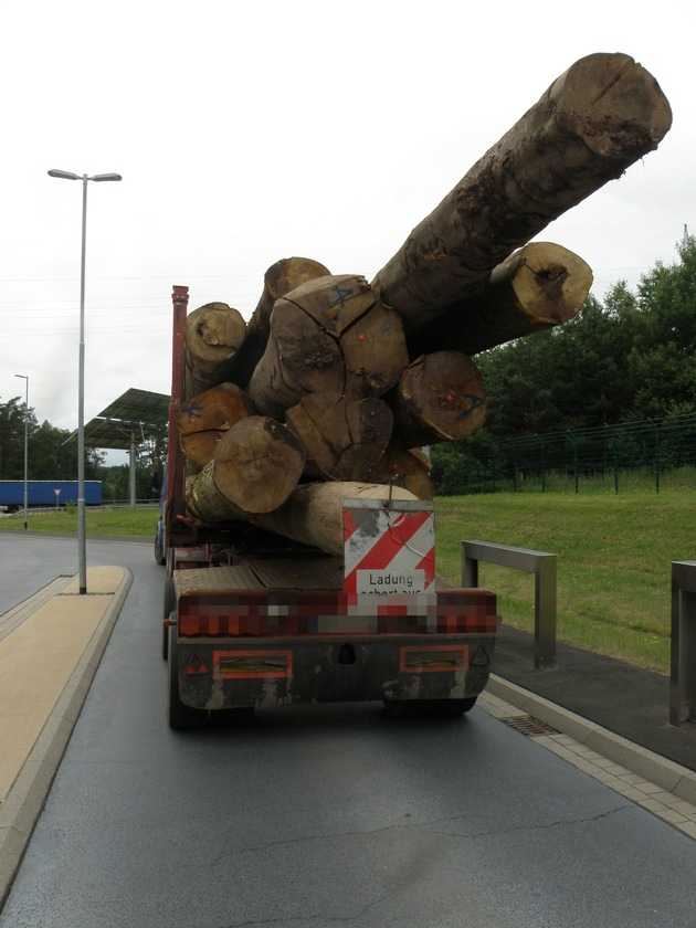 Völlig überladener Holztransporter