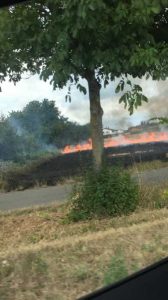 Flächenbrand in Römerberg