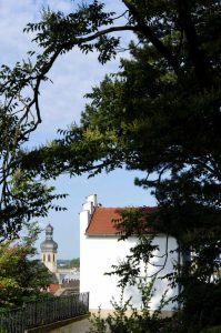 Das vielleicht winzigste Museum in ganz Baden-Württemberg widmet seine kleine Ausstellung der legendären Bruchsaler Fasnachtsgestalt. (Foto: Hans-Peter Safranek)