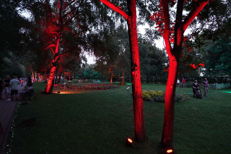 Illuminierte Bäume