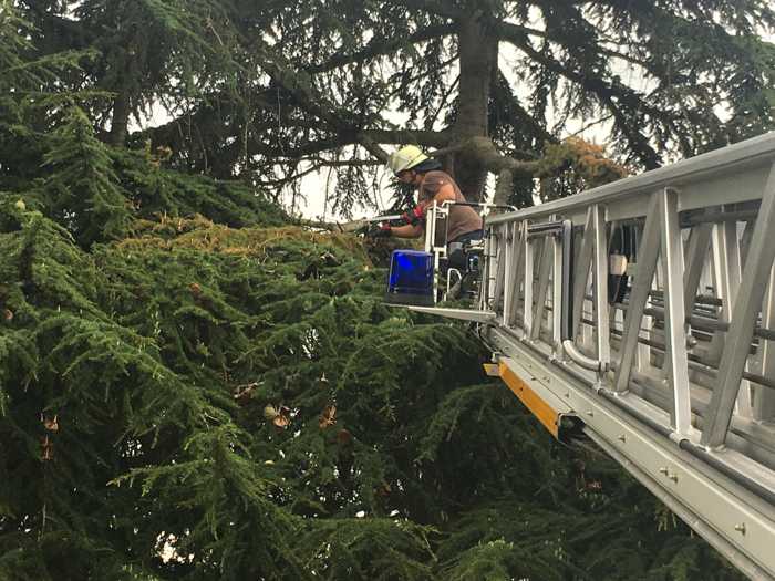 Unwetterschäden - Die Feuerwehr im Einsatz