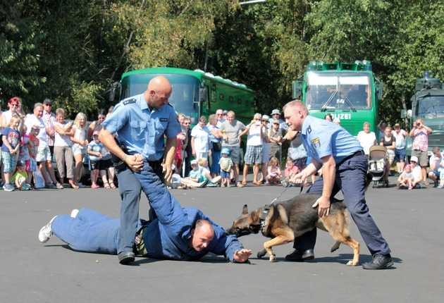 Vorführungen der Polizei sind besonders beliebt