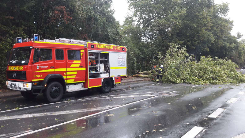 Umgestürzter Baum auf der Gensinger Str. Ecke Sandweg (Foto: Feuerwehr Bad Kreuznach)