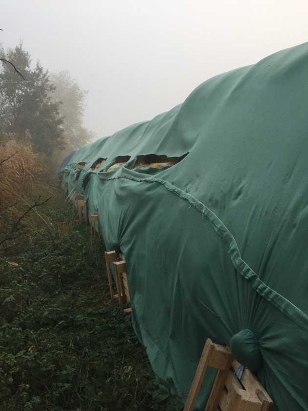 Eine große Schutzplane und die Schutzfolien von 32 Heuballen wurden bei Katzweiler in der Nacht zum Samstag Ziel von Vandalen.