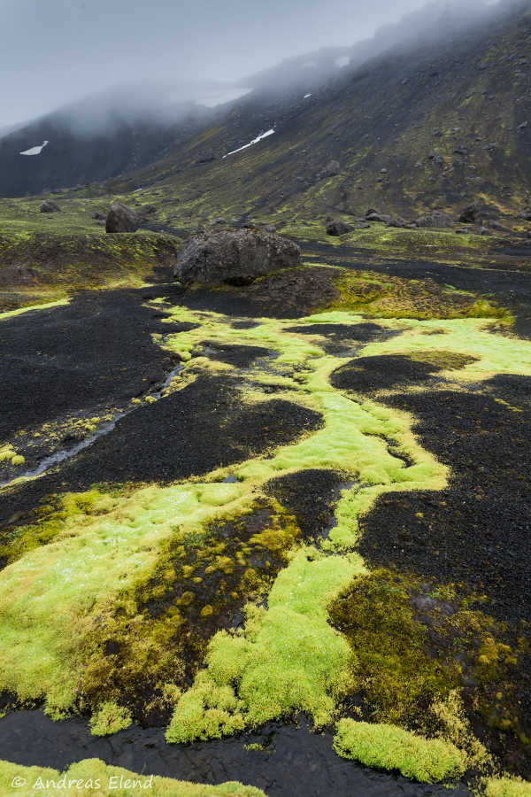 Island (Foto: Andreas Elend)