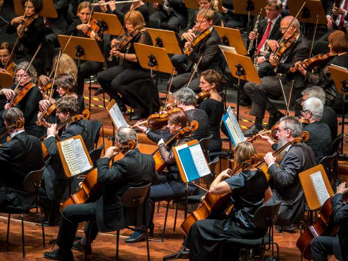 Stamitz-Orchester 2015 - Foto Max Trinter