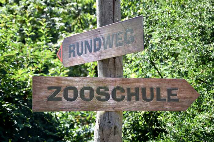 Quelle: Zoo Landau