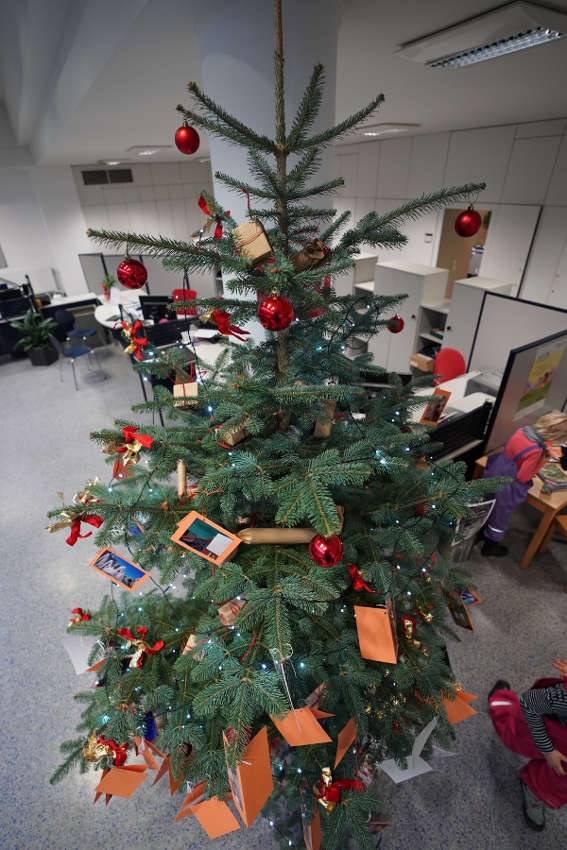 Wunschbaum (Foto: Reinhard Schnell)