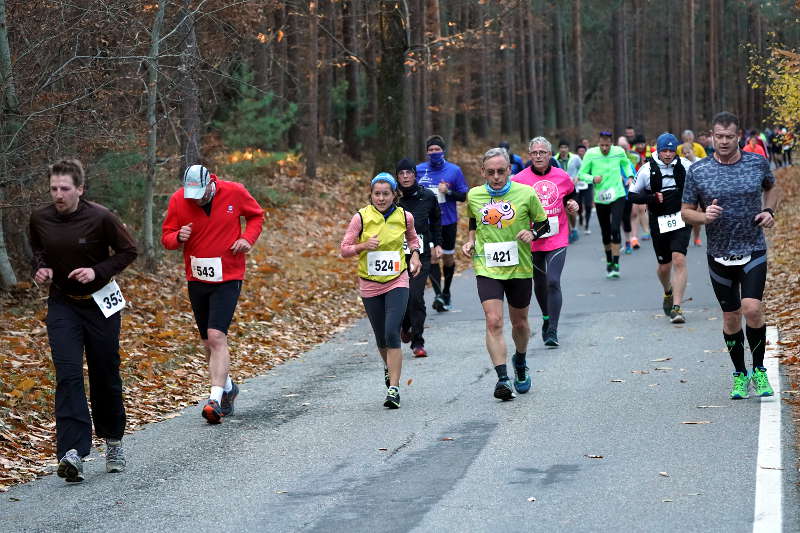Kalmit-Berglauf 2018 (Foto: Reinhard Schnell)